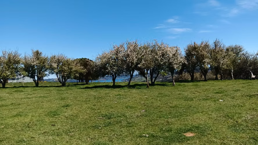 Terreno Quetalco 10 hectáreas