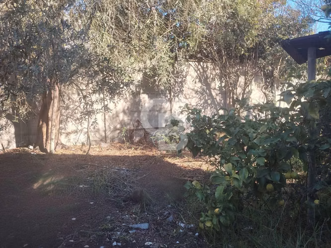 Concon amplio terreno y casa para remodelar - Imagen 19