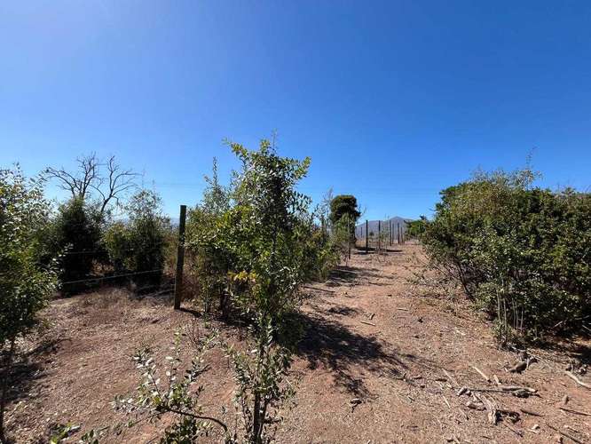 Lomas de Mantagua hermoso terreno (179202) - Imagen 6