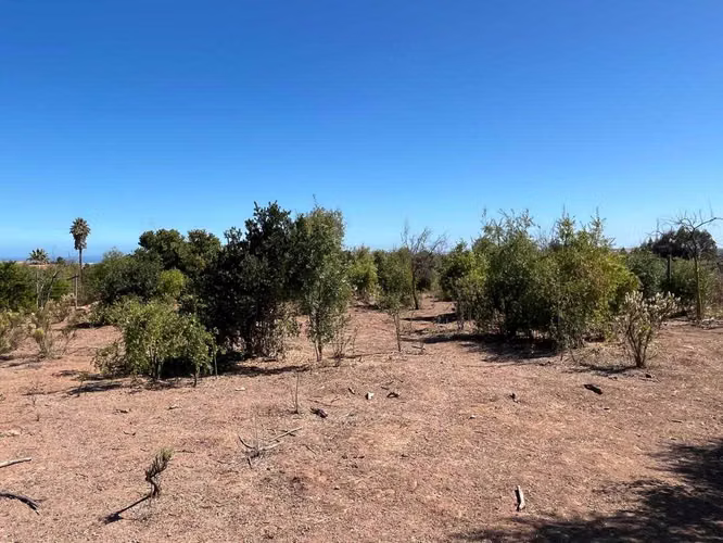Lomas de Mantagua hermoso terreno (179202)