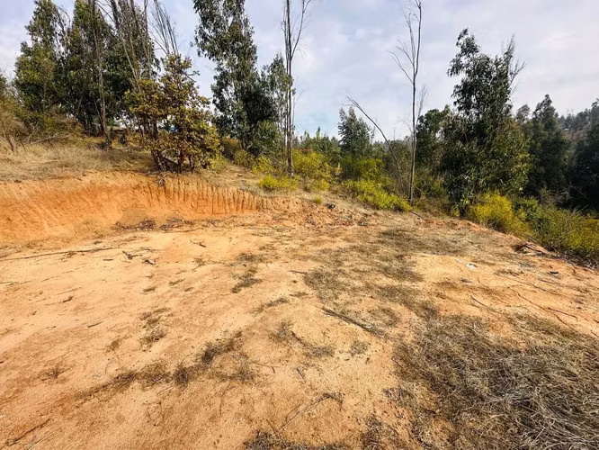 VENTA PARCELA 5000 MTS2 VALLE VERDEMARLIMACHE (179219)