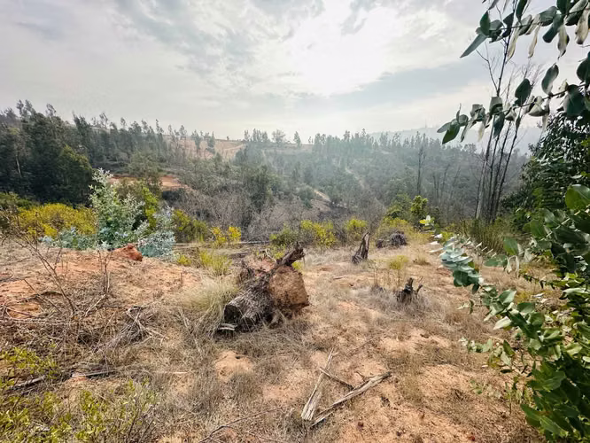 VENTA PARCELA 5000 MTS2 VALLE VERDEMARLIMACHE (179219)