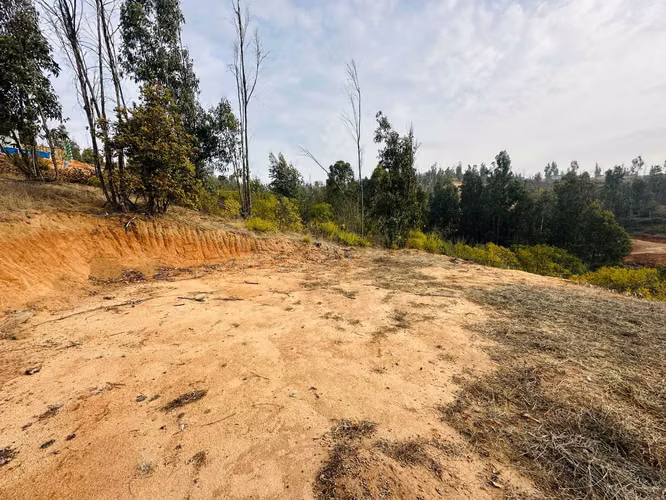 VENTA PARCELA 5000 MTS2 VALLE VERDEMARLIMACHE (179219)