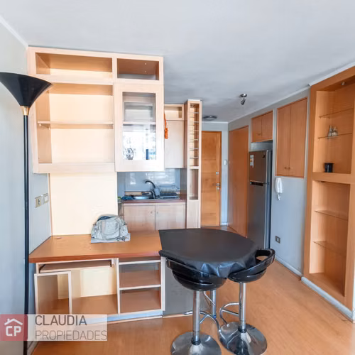 1 Dorm Altura Francia Amoblado