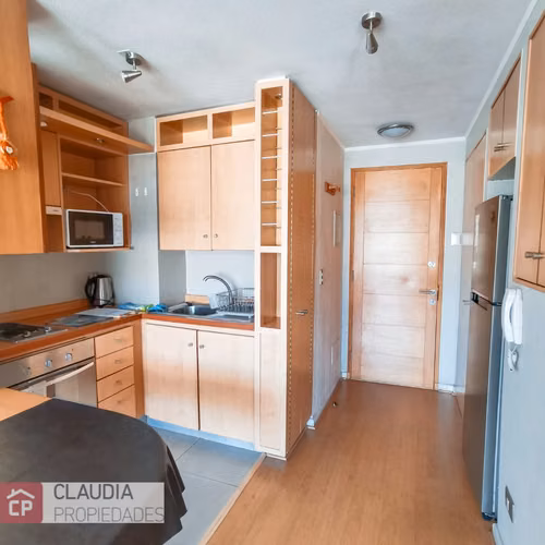 1 Dorm Altura Francia Amoblado