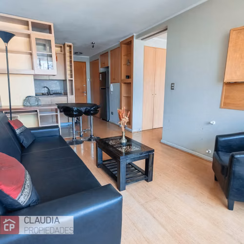 1 Dorm Altura Francia Amoblado
