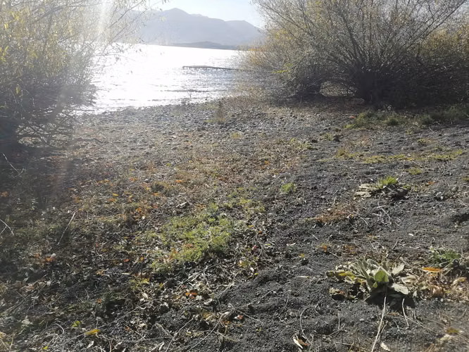 Arriendo casa año corrido Ruta Pucón a Villarrica