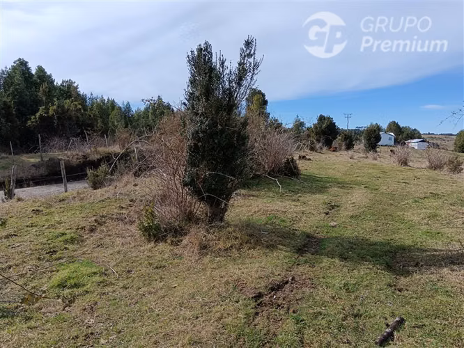 PARCELA DE UNA HECTAREA EN QUEMCHI