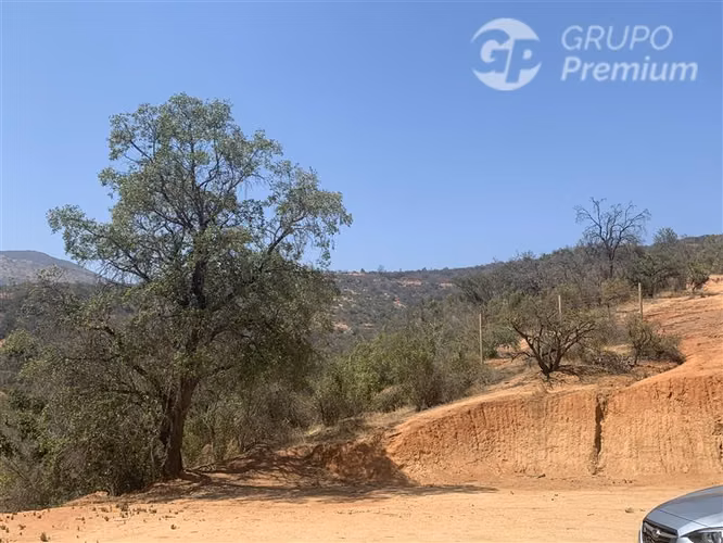 Agrícola en venta en Quilpué - Imagen 10