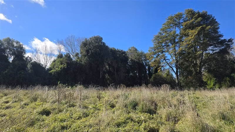 Parcela en venta en Frutillar