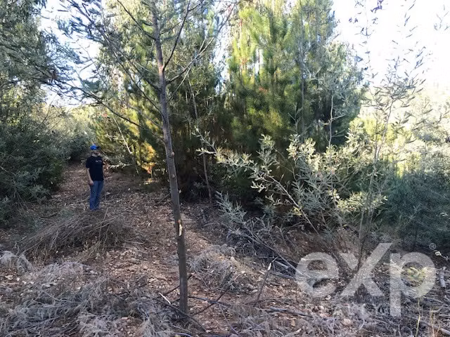Parcela en venta en Constitución