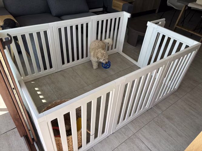 Corral para mascotas de diseño elegante – 77 cm de alto - como nuevo