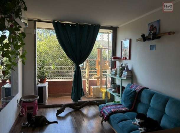 Venta Departamento 2D-2B Macul,Estacionamiento, piscina - Imagen 14