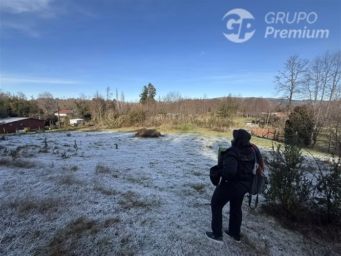 Venta-PARCELA 4 HECTÁREAS | SALTO DE AGUA, ESTERO, BOSQUE NA - Imagen 5