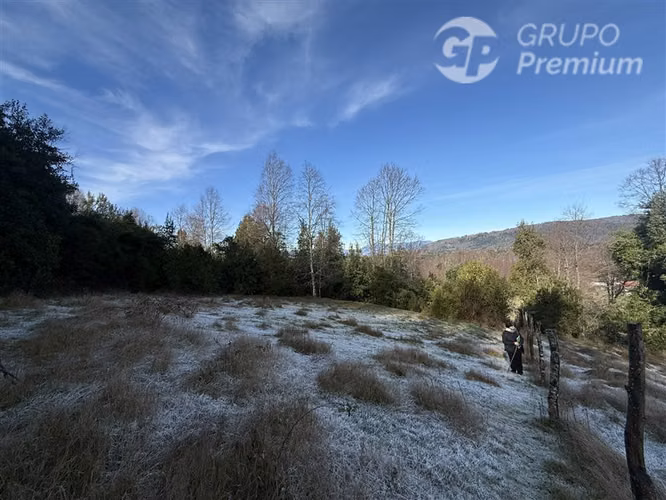 Venta-PARCELA 4 HECTÁREAS | SALTO DE AGUA, ESTERO, BOSQUE NA - Imagen 10