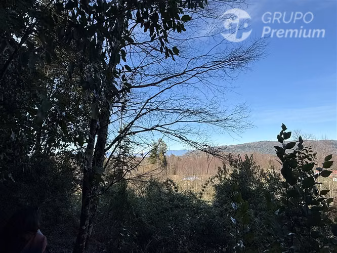 Venta-PARCELA 4 HECTÁREAS | SALTO DE AGUA, ESTERO, BOSQUE NA - Imagen 7