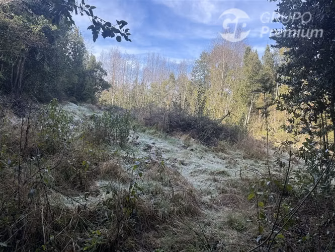 Venta-PARCELA 4 HECTÁREAS | SALTO DE AGUA, ESTERO, BOSQUE NA - Imagen 27