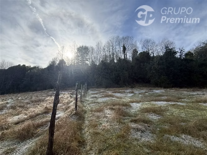 Venta-PARCELA 4 HECTÁREAS | SALTO DE AGUA, ESTERO, BOSQUE NA - Imagen 30