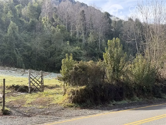 Venta-PARCELA 4 HECTÁREAS | SALTO DE AGUA, ESTERO, BOSQUE NA