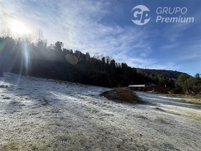 Venta-PARCELA 4 HECTÁREAS | SALTO DE AGUA, ESTERO, BOSQUE NA - Imagen 3