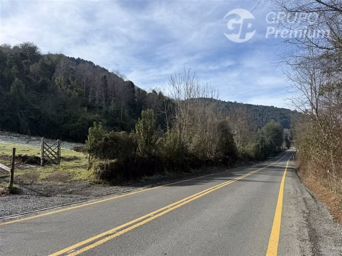 Venta-PARCELA 4 HECTÁREAS | SALTO DE AGUA, ESTERO, BOSQUE NA