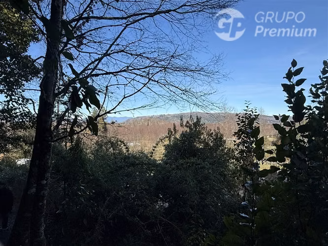 Venta-PARCELA 4 HECTÁREAS | SALTO DE AGUA, ESTERO, BOSQUE NA - Imagen 6