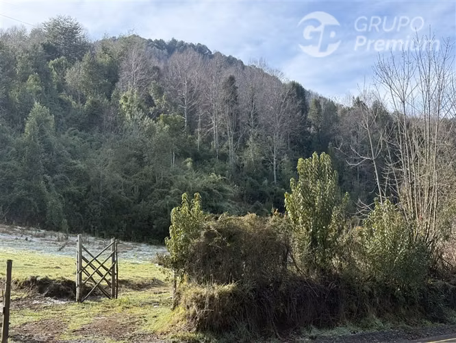 Venta-PARCELA 4 HECTÁREAS | SALTO DE AGUA, ESTERO, BOSQUE NA - Imagen 32