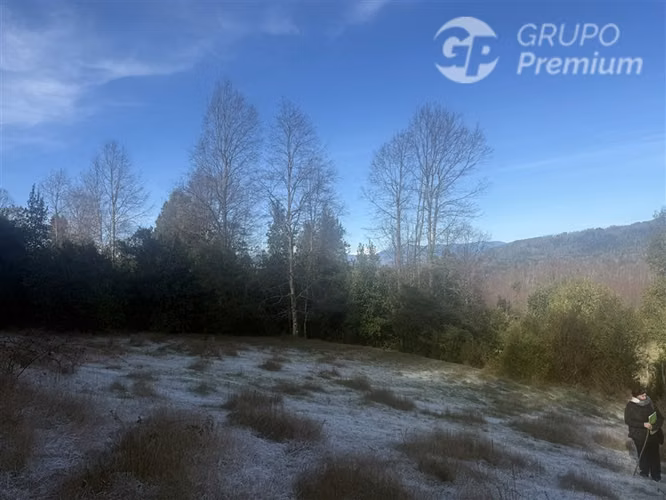 Venta-PARCELA 4 HECTÁREAS | SALTO DE AGUA, ESTERO, BOSQUE NA