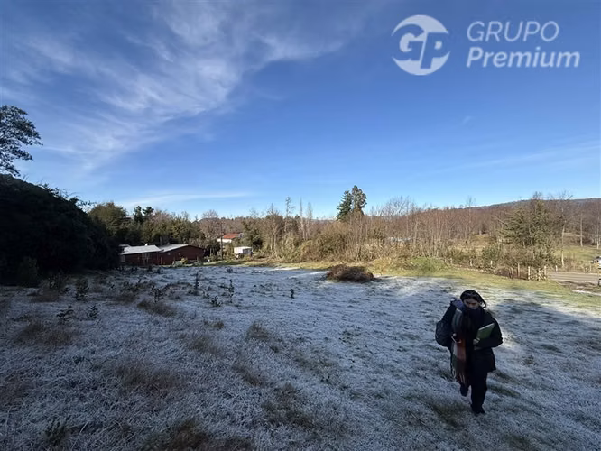 Venta-PARCELA 4 HECTÁREAS | SALTO DE AGUA, ESTERO, BOSQUE NA - Imagen 4