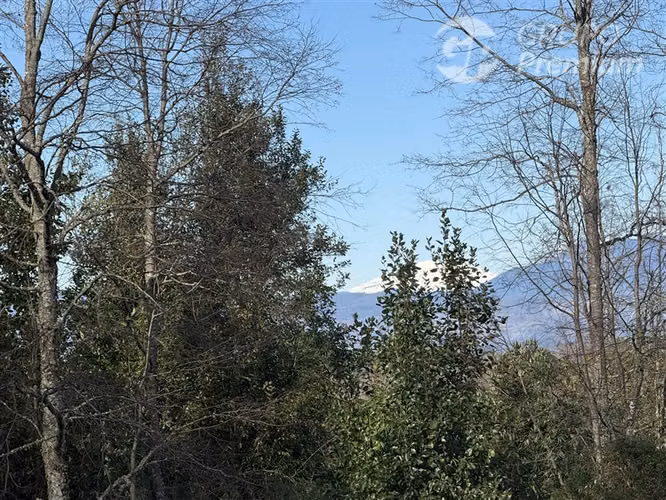 Venta-PARCELA 4 HECTÁREAS | SALTO DE AGUA, ESTERO, BOSQUE NA