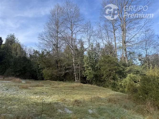 Venta-PARCELA 4 HECTÁREAS | SALTO DE AGUA, ESTERO, BOSQUE NA - Imagen 29