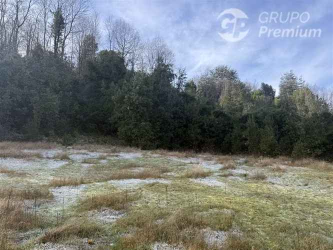 Venta-PARCELA 4 HECTÁREAS | SALTO DE AGUA, ESTERO, BOSQUE NA