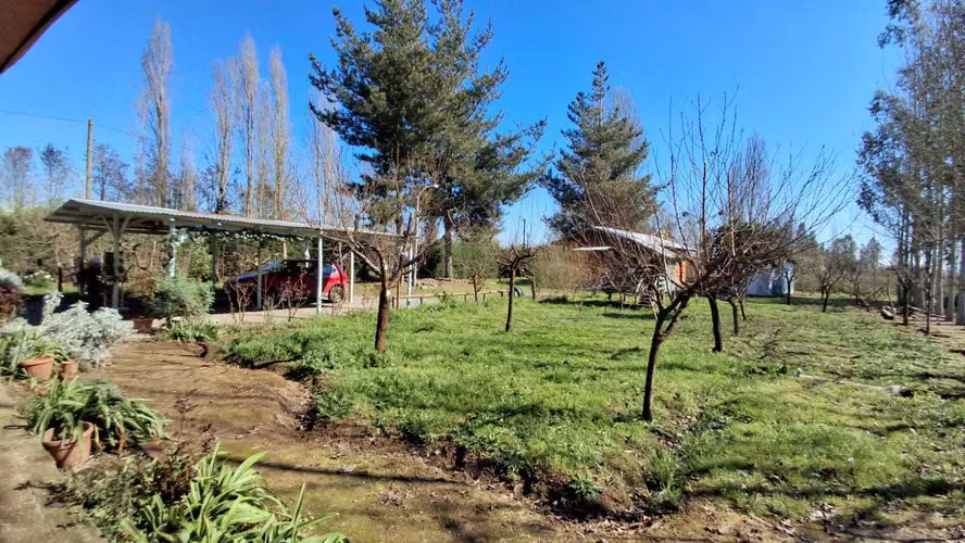 Propiedad Rural con Casa Grande y Bosque de Euca (179255)