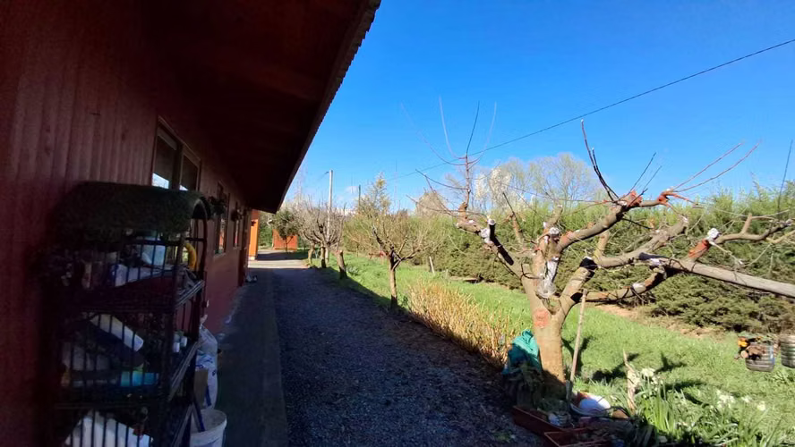 Propiedad Rural con Casa Grande y Bosque de Euca (179255)