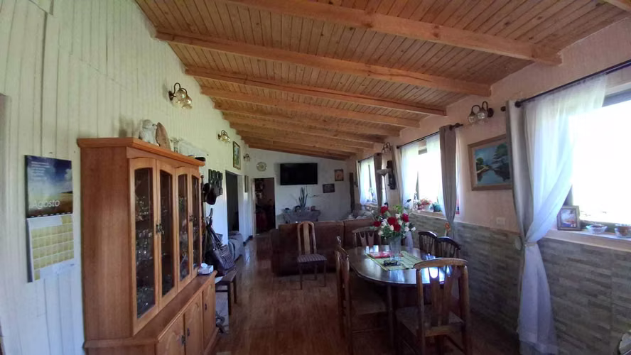 Propiedad Rural con Casa Grande y Bosque de Euca (179255)