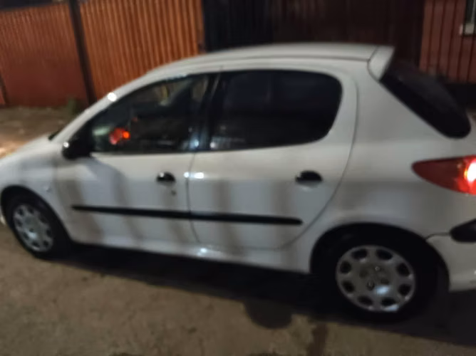 Peugeot 206 año 2004