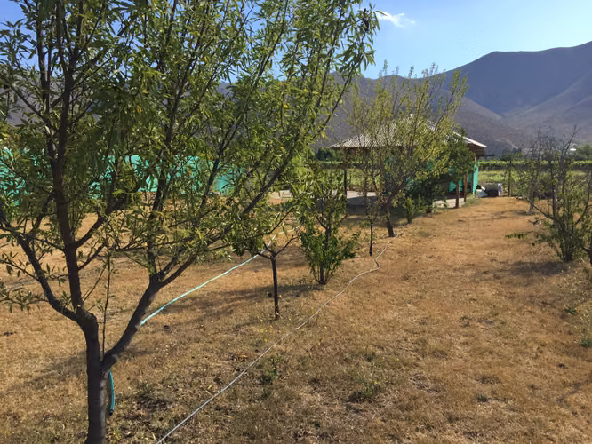 SE VENDE SITIO CON AMPLIA CASA EN LOCALIDAD SANTA ROSA, SALAMANCA