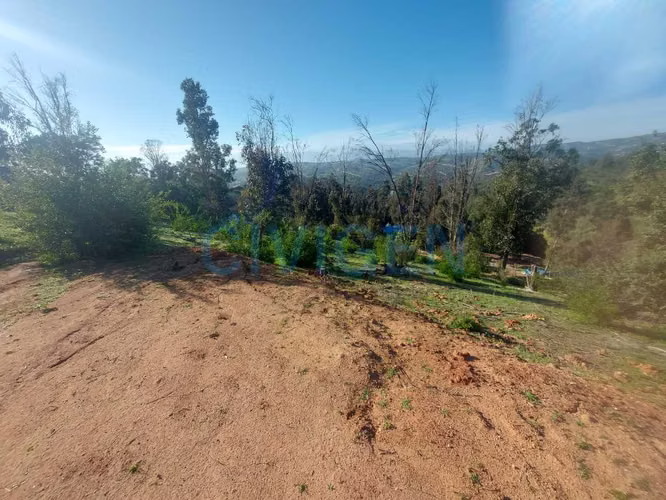 0,5 ha Los Aromos1, exclusivo. (179284)