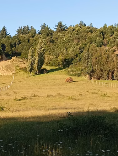VENDO TERRENO DE 1,40 HECTÁREAS, SECTOR TROMEN, COMUNA CHOLCHOL