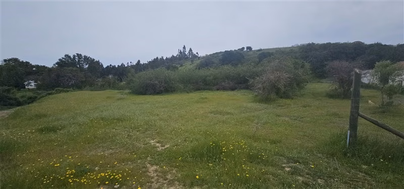 Parcela en venta en Litueche