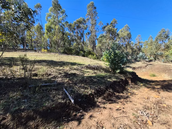 VENTA TERRENO  4 HECTAREAS MONTERREY ALTO, COMUNA YUMBEL