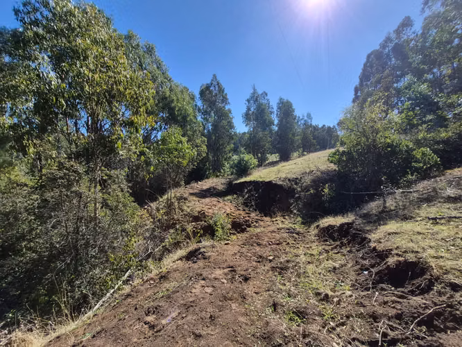 VENTA TERRENO  4 HECTAREAS MONTERREY ALTO, COMUNA YUMBEL