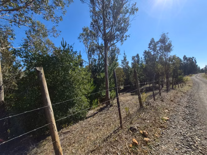 VENTA TERRENO  4 HECTAREAS MONTERREY ALTO, COMUNA YUMBEL