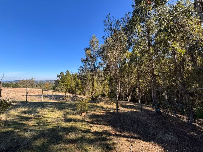 VENTA TERRENO  4 HECTAREAS MONTERREY ALTO, COMUNA YUMBEL