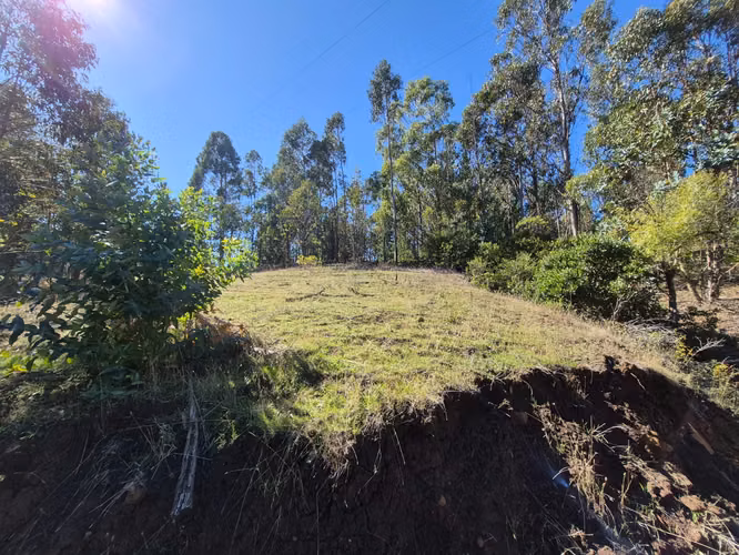 VENTA TERRENO  4 HECTAREAS MONTERREY ALTO, COMUNA YUMBEL