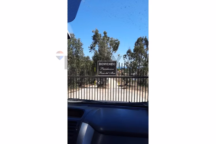 "terreno en algarrobo: tu sueño cerca del mar"
