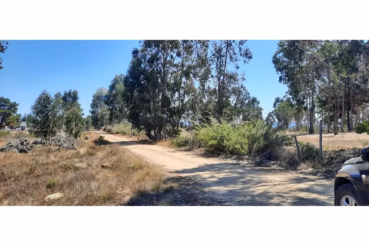 "terreno en algarrobo: tu sueño cerca del mar"