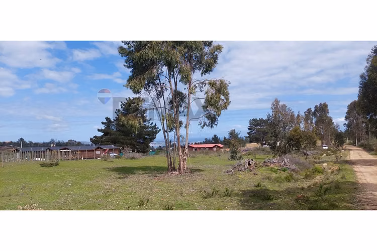 "terreno en algarrobo: tu sueño cerca del mar"