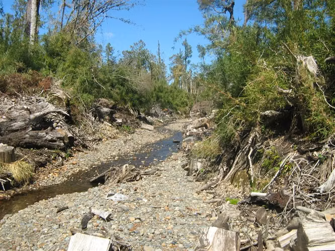 PARCELA Ruta 5, kilómetro 4, Chepu