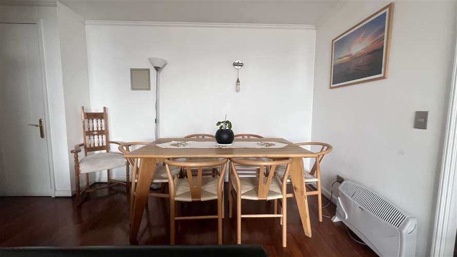 DEPARTAMENTO Avenida Antonio Varas - Imagen 8